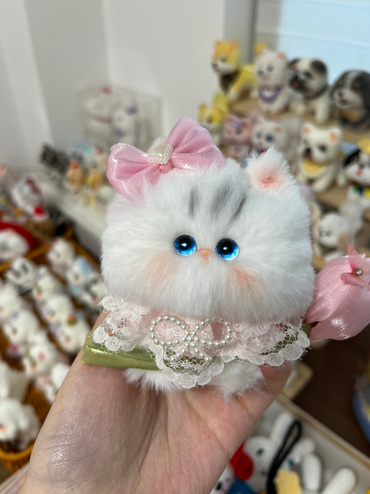 Kitty